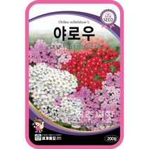 야로우 씨앗 200립 서양톱풀 다년생 허브 꽃씨몰, 단품