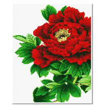 모모픽스 보석십자수 40x50cm 캔버스액자, DI07 목단꽃