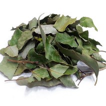 천년약초 국내산 (햇) 참가시나무 참가시나무잎 300g, 1팩