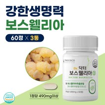 턱관절 오른쪽 무릎 안쪽 아래 통증 보스웰리아 손 뼈 아픔 허리 손가락마디 관절 연골 에좋은 음식 영양보조제 염증 테르페노이드 어깨가아플때 푸른입 청 홍합 손상 보수엘라 노인