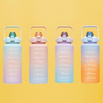 홈니크 연예인 2리터물통 물병 대용량 2리터물병 텀블러 대형물통 연예인 2리터물통 물병 헬스 스포츠 다이어트 캠핑용물통 물통, 미세스크래치 제품 2+2 (색상랜덤, 교환환불 불가)