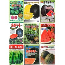 수박씨앗모음 애플수박씨앗 망고수박씨앗 복수박씨앗 미니수박씨앗, 12.달코미흑진주20립