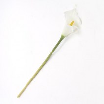 카페장식 카라 조화 화이트 빈티지조화 생화같은조화