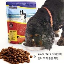 #반함# 피쉬포독 연어 어덜트, 1개, 6.3kg