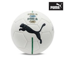 푸마 주니어 네이마르 체육용품 5호 축구공
