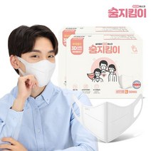 지앤티클린 100매 성인용 화이트 국내생산 새부리형 일회용 마스크