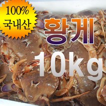 국내 자연산 황게(금게 방게) 깨다시 제주게 급냉 10kg, 황게 대 (30미 내외) 10kg