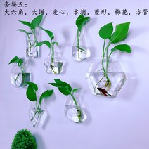 카디날테트라 구피 인테리어 걸개식 칼라테트라 애완물고기 레드스워드 워터레터스 물배추 장미물배추 벽걸이 화분 어항, 패키지2+액세서리(식물미포함)