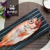 반건조 제수용생선 적어 빨간고기 아까(망미중앙시장 부자생선), 적어 대