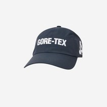 팔라스 고어텍스 6-패널 캡 네이비 - 22FW Palace Gore-Tex 6-Panel Ny - 22FW