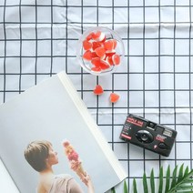 공유라이프 피크닉매트, 빅 체크 화이트