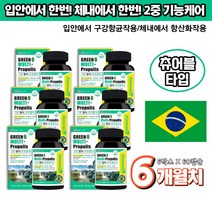 브라질 그린 프로폴리스 아연 6개월분 입냄새 제거 씹어먹는 비타민C 고농축 비타민B 츄어블 페퍼민트맛 연질캡슐 40대 50대 여자 잇몸영양제 리소자임 라이소자임 식약처인증, 6박스
