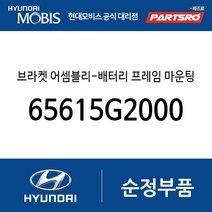 브라켓 어셈블리-배터리 프레임 마운팅 좌측 (65615G2000) 아이오닉 하이브리드