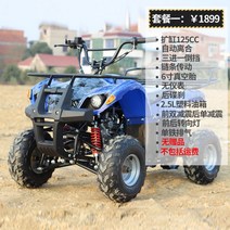 산악 4륜 오토바이 화물 ATV 바이크 사륜 오프로드 Little Bull 가솔린 전기 카트 성인 전 지형 경기장, 패키지 1/3개 입력 및 1개 출력/