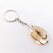 윙윙쇼핑 진짜 전갈 열쇠 키 체인 걸이 고리 키링 키홀더 곤충 표본 박제 옥 인공 물방울 이집트 펜던트 기념품 관광 취미 여행 패션 악세사리 소품 수집 커플 쥬얼리 선물, 투명