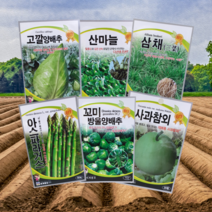 흰무늬 엉겅퀴 밀크씨슬 삼채 씨앗 종자