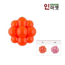 버클리 트라우트 에그 클러스터 / 송어 알 송어웜, 트라우트 에그 클러스터 - SHP