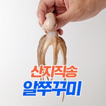 고흥 생물 국산 활 쭈꾸미 1kg 2kg 3kg 산지직송 당일발송
