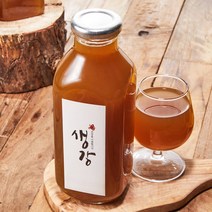 [당일발송] 담아요 국산 저온발효숙성 수제 생강청 천연당 국산유리병 500ml, 1병