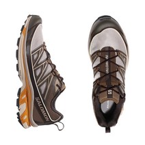 SALOMON 살로몬 XT-6 EXPANSE L41741600 익스팬스 페더 그레이