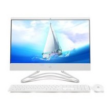 HP 24-F0016KR 일체형PC (인텔 펜티엄 J5005 62cm WIN10 HOME DDR4 4GB SSD256GB) + 키보드 + 마우스, 기본형