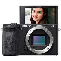 소니 18-135mm 줌 렌즈가 장착된 알파 a6600 미러리스 카메라, 몸만
