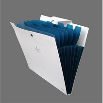 8포켓 종류별 서류 정리 파일 케이스 분리보관파일철