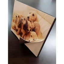 스마트폰 사진인화 아이 가족 반려동물 인테리어 좋은 글귀 선물 사진액자 주문제작
