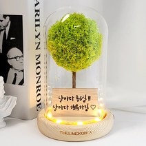 LED 메세지 각인 스칸디아모스 유리돔 무드등 거실 인테리어 조명 선물, 올리브_폰트2