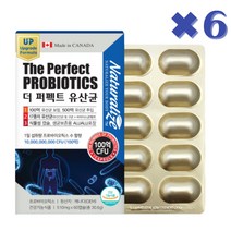 갱년기 여성 프롤린 신바이오틱스 유해균 억제 유산균 60캡슐X6박스, 6개, 60정