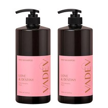 바디브 약산성 샴푸 러브앤데스티니향 1000ml, 2개