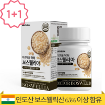 6289 닥터 보스웰리아 효능 인도산 보스웰릭산 65% AKBA+KBA 함유 60정 2통