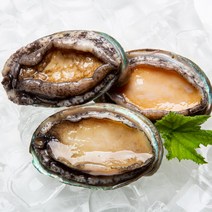 웰빙곳간 완도산 활 전복 1kg (40~60미)