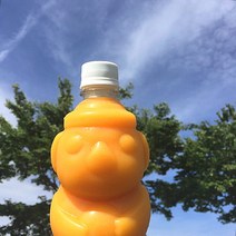 [제주직송] 귤하르방 원조 100%착즙 천혜향주스/한라봉주스/당근/망고 (6병/12병/24병세트), 6병, 한라봉 천혜향(반반)