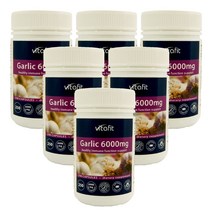 비타핏 (Vitafit) 갈릭 (마늘추출물) 6000mg 90 캡슐 X 6개, 540캡슐, 1세트