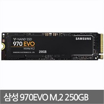 970EVO-250G M.2 부족한 컴퓨터 속도향상 가성비 SSD, 250GB