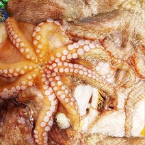 제철 시즌 통영멍게 가리비굴 당일작업, 1box, 자연산 돌문어500g(1-3미내외)