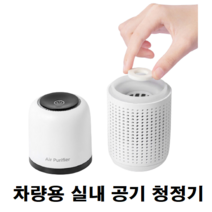 2평 3평 안방 반지하 침실 BMW 벤츠 차량 차 유모차 실내 먼지 냄새 포름알데히드 제거 공기청정기, 화이트