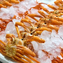 수율 80%내외 당일조업 속초 동해안 고급홍게 7-11마리 3kg, 1개
