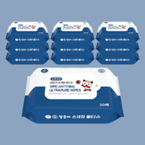 달곰이 항균 99% 손세정 물티슈 휴대용 20매 10팩 세트, 손세정 휴대 10팩