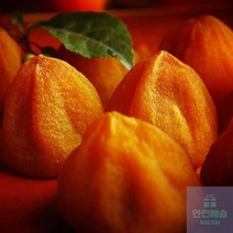 HOHO샵 영화청과_특급_국내산_곶감_1kg_만드는법_건시_상주 3A82, 상세페이지 참조