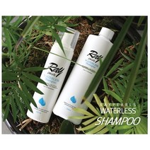 노워시 입원준비물 환자머리감기 환자용 임산부 물없는 물없이감는 천연 계면활성제 없는 드라이 워터리스 한방 향좋은 샴푸, 레이펄스 워터리스 샴푸 500ml (리필), 500ml