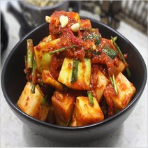 올댓리빙 강원도 청정 김치 깍두기 3kg, 1개
