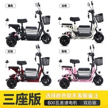 세발 전기자전거 삼륜 가성비 전동 성인용 배달용 노인, 600W 리튬 배터리 15A 40km 주행3인, 48V