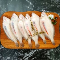 부산 반건조 생선 사리가자미 국내산 구이용 조림용, 5~6미 (24~26cm/ 650g) 내외