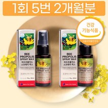 비 프로폴리스 프로플러스 스프레이 액상 식약처 인정 2개월분 뉴질랜드 플라보노이드 17mg BEE PROPOLIS SPRAY 이산화규소 무첨가 올리브잎 추출물 1일 1회 5번 간편한 휴대용 가성비