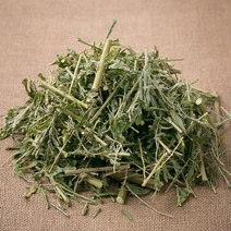 국산 강원도 세척 말린 야관문(비수리) 100g 야간문 차 효능 한약재, 12UZ_국산 야관문(비수리) 100g