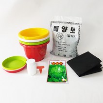 양상추키우기 7종, 단품