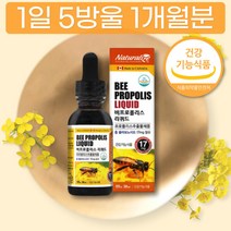 비 프로폴리스 액 리퀴드 액상 플라보노이드 함량 추출물 농축 플로폴리스 먹는법 섭취방법 원액 추천 프로플러스 폴리폴리스 폴라폴리스 직구 캐나다산 원산지 섭취권장량 고르는법 후기