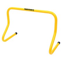 에브리데이쇼핑낫소 허들 30cm 1개입 육상허들 허들콘 학교 콘 달리기허들+dpqmflepdl, 상품대박, 상품대박